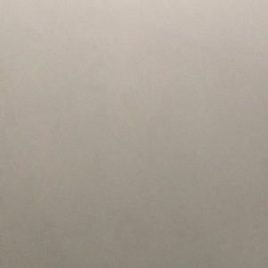 Meet your Posher, Ali